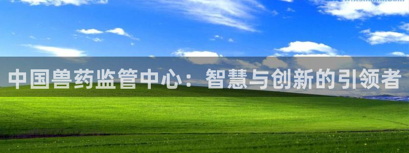 九游会官
