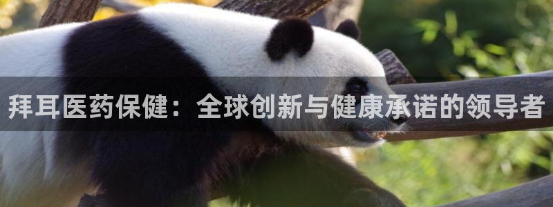 J9九游会老哥俱乐部官方