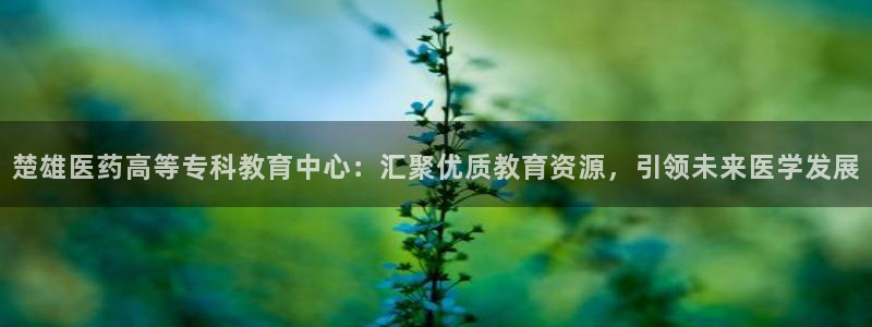 九游会平台最强