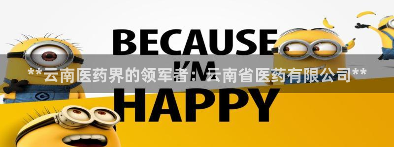 j9九游会app官网下载