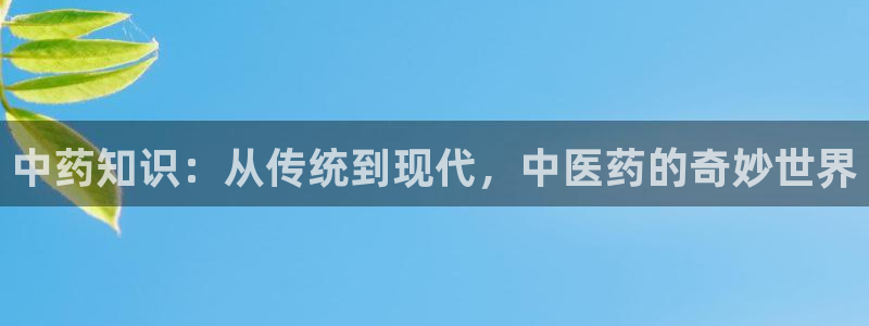 j9九游会登录网址