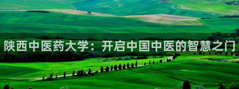 九游会这几天打不开了