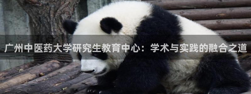 j9九游会官方网站