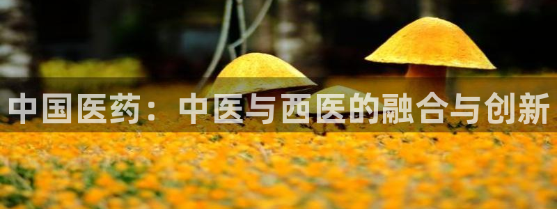 九游会app下载版官网正版手游