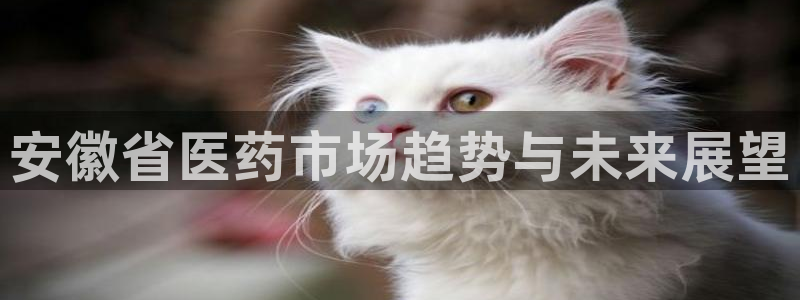 j9九游会老哥俱乐部官网