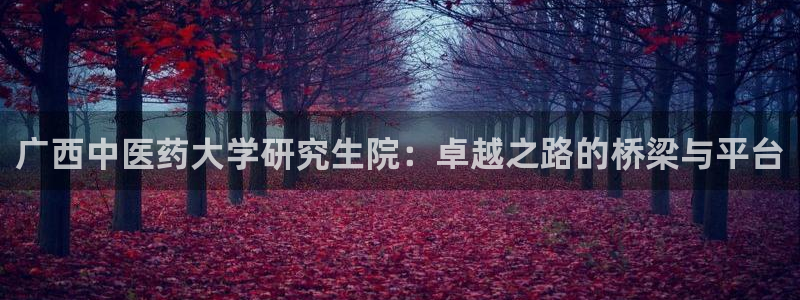 九游会网址jn109