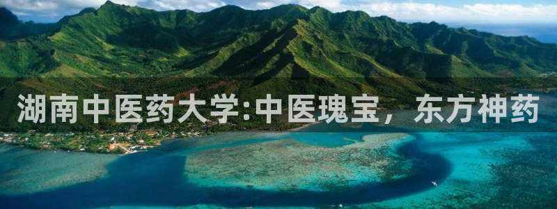 九游会官网进入口