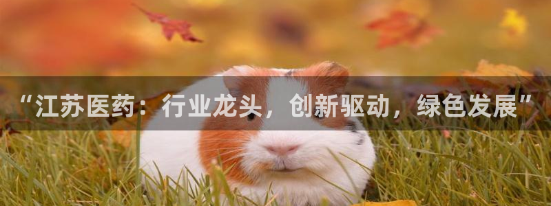J9九游会-真人游戏第一品牌