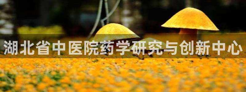 九游会第一真人视频游戏