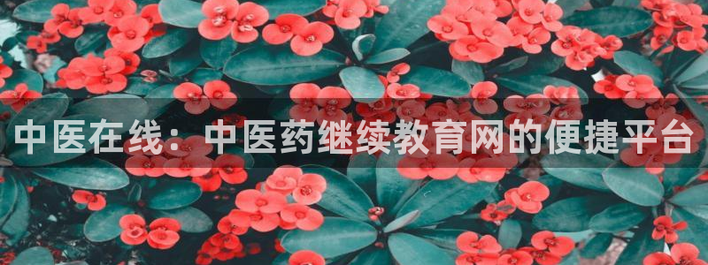 九游会官网老哥俱乐部