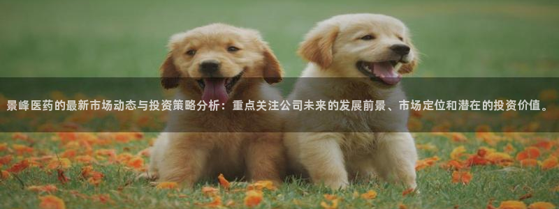 九游会官网j9j9