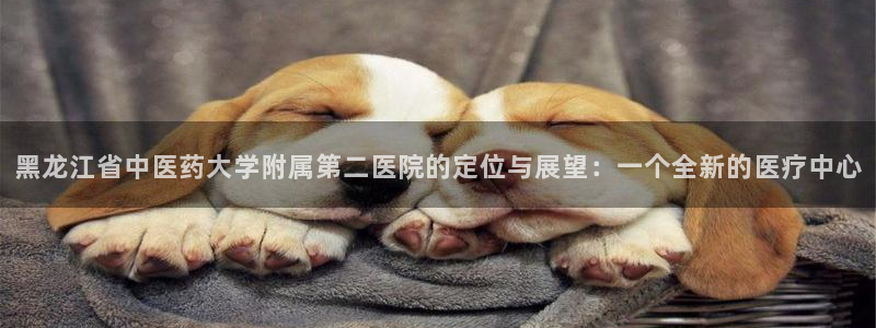 J9九游会官网app