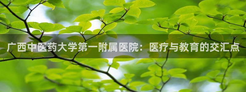 九游会ag登录j9
