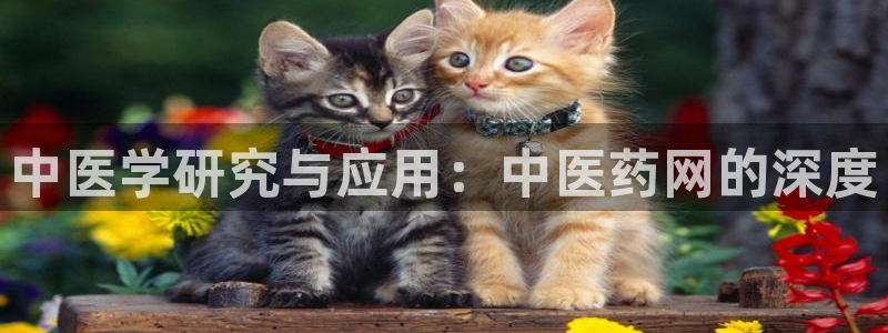 九游会官网登入