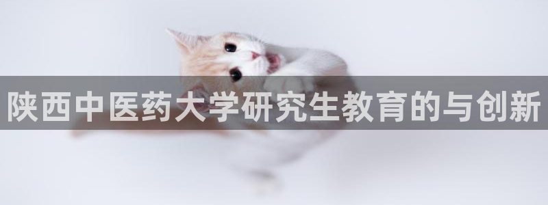 j9九游会真人游戏第一