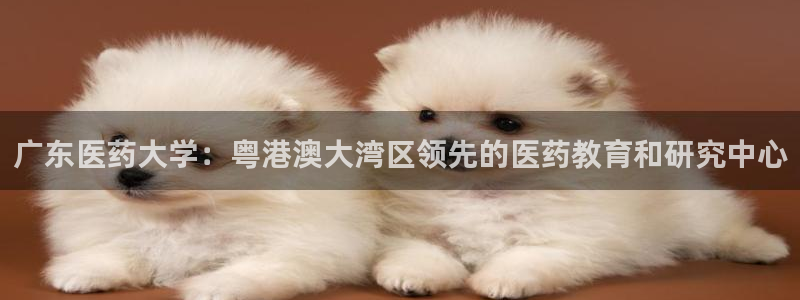 九游会j9官网网站