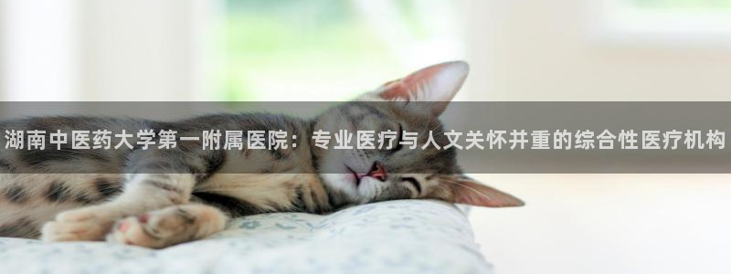 九游会国际厅