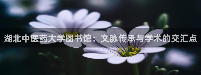 九游会中国入口