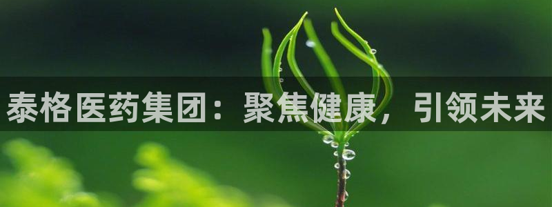 j9九游会首页登录新版
