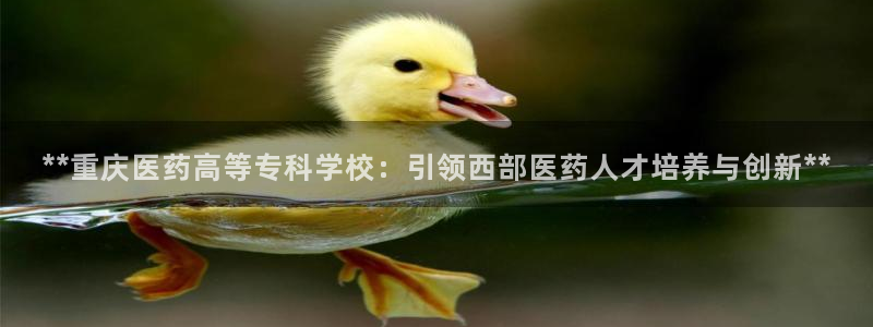 九游j9会 - 真人游戏第一品牌