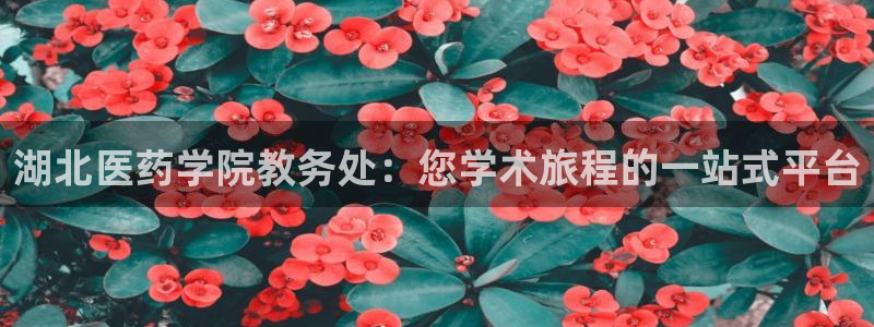 九游j9登录