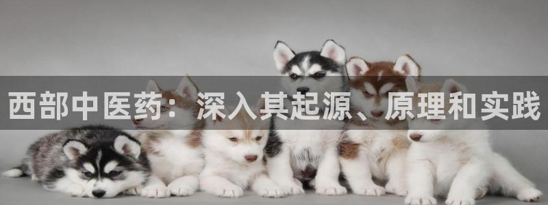 九游会app官方