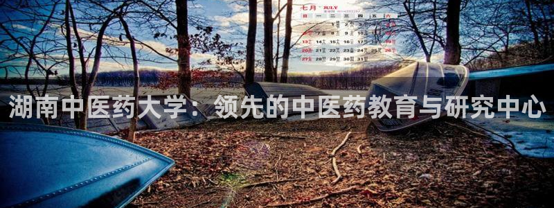 九游会中国j9