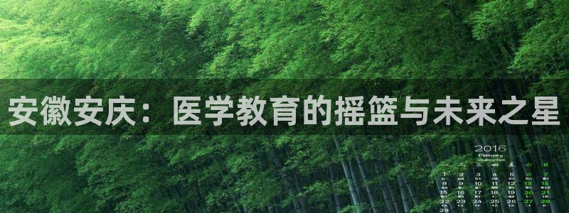 九游会官网下载最新版