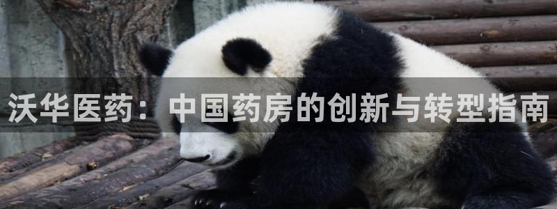 九游会官方在线