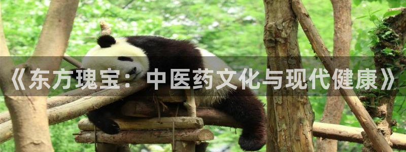 九游会老哥俱乐部必备的交流社区论坛