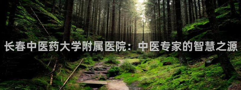 九游会是干嘛的