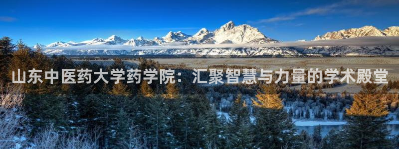 J9九游会试玩入口