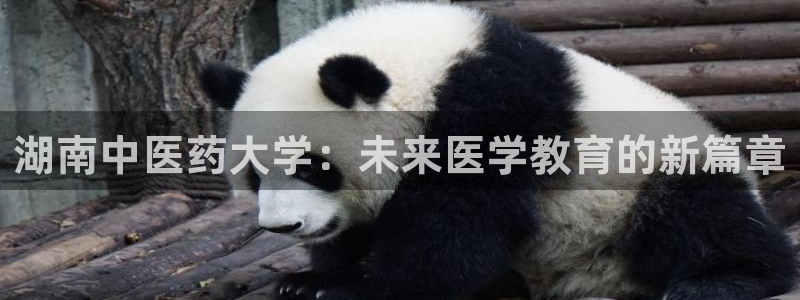 九游会集团登录