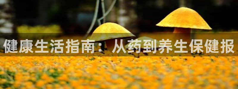 九游会是一个什么网站啊