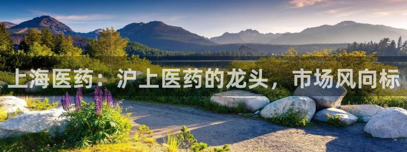 九游会官方下载