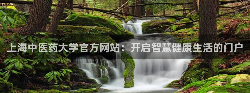 九游会官网登录首页