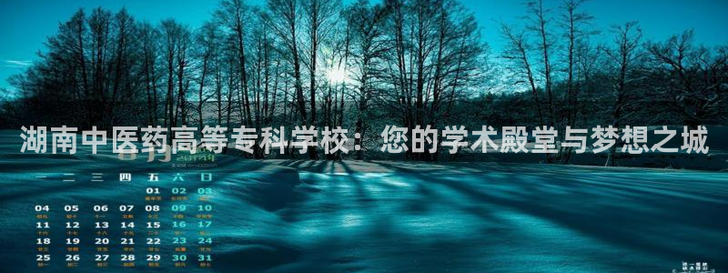 九游会首页登陆