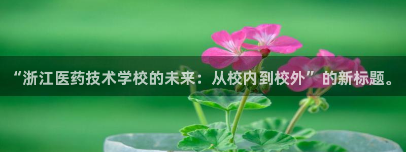 九游会是一个什么网站