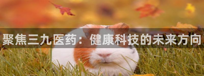 J9九游会九游国际版