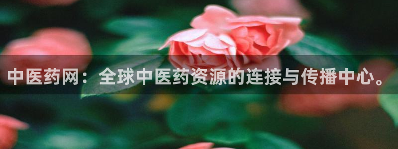 j9九游会真人游戏第