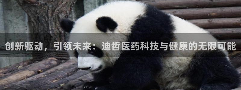 九游会官网真人认证吗