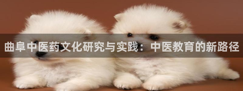 九游会j9官方网站：