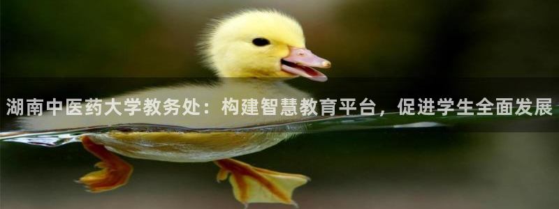 九游会集团网址：湖南