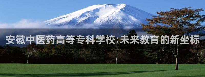 j9九游会app官方