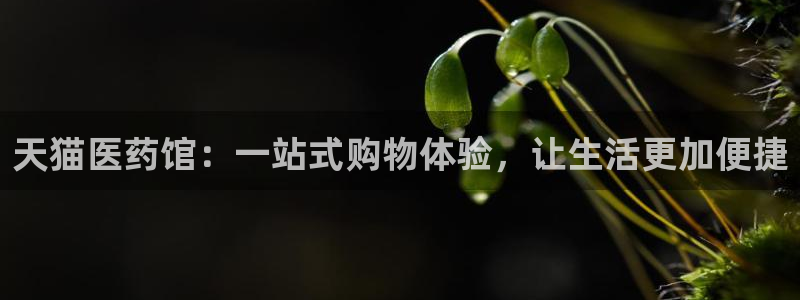 九游会最新线路：天猫