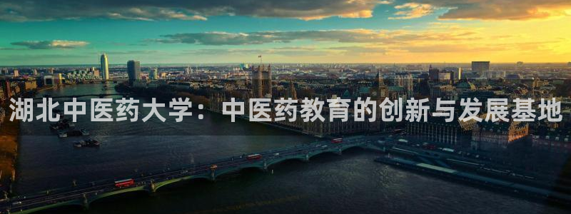 九游会老哥：湖北中医