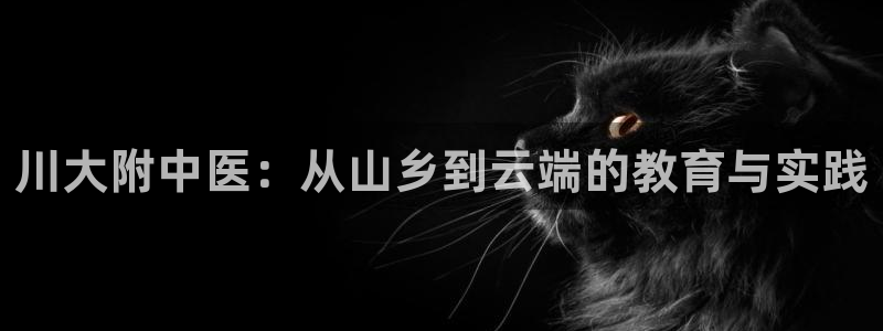 九游会老哥必备的交流