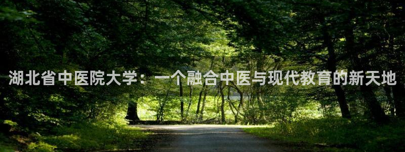 九游会网址jn109