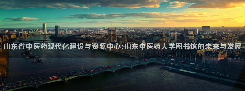 九游会官网入口：山东