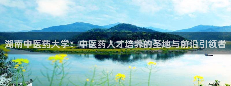 九游会提款快吗